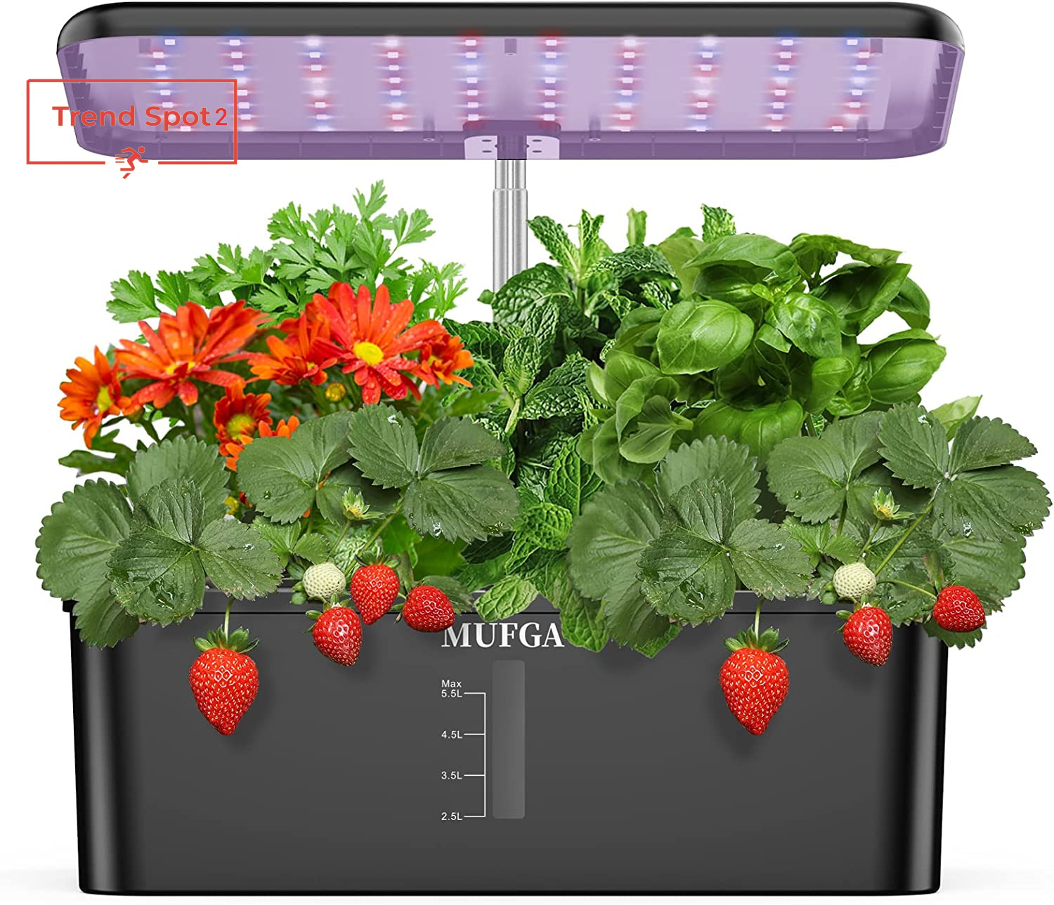 Herb Garden Hydroponics Growing System -  12 Pods Indoor Gardening System with L