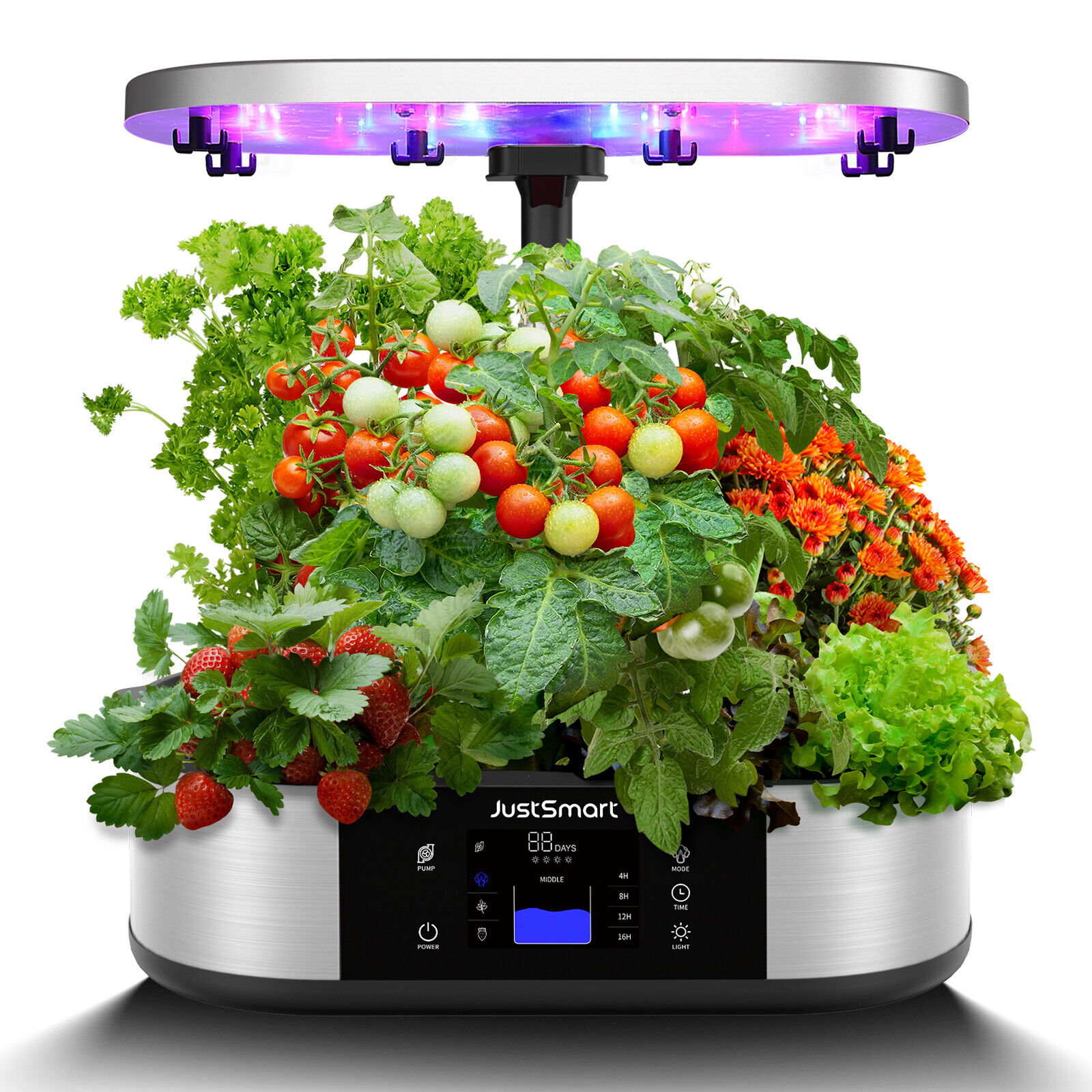 12 Pods Hydroponics Growing System w/LED Grow Light Timer Indoor Herb Garden Kit