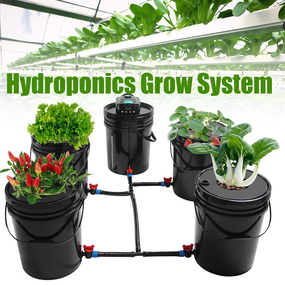 Set of 5 Deep Water Culture DWC Hydroponic Grow System Set 5 Gallon Round Bucket