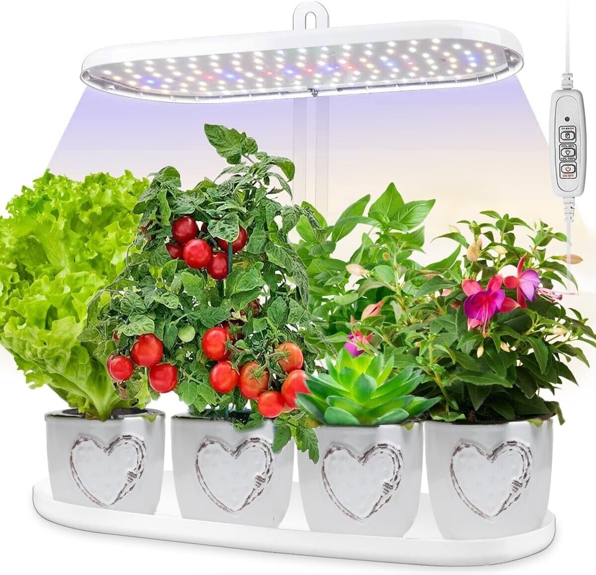  Indoor Garden Led Grow Light:Herb Seeds Kitchen Garden Grow Kit - House Plant 