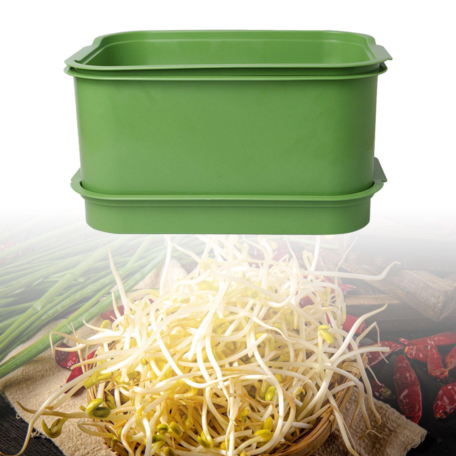 Set of 3 Bean Sprouts Tray Growing Kit Durable Stackable Lightweight