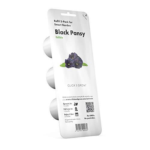 Smart Garden Black Pansy Plant Pods 3pack