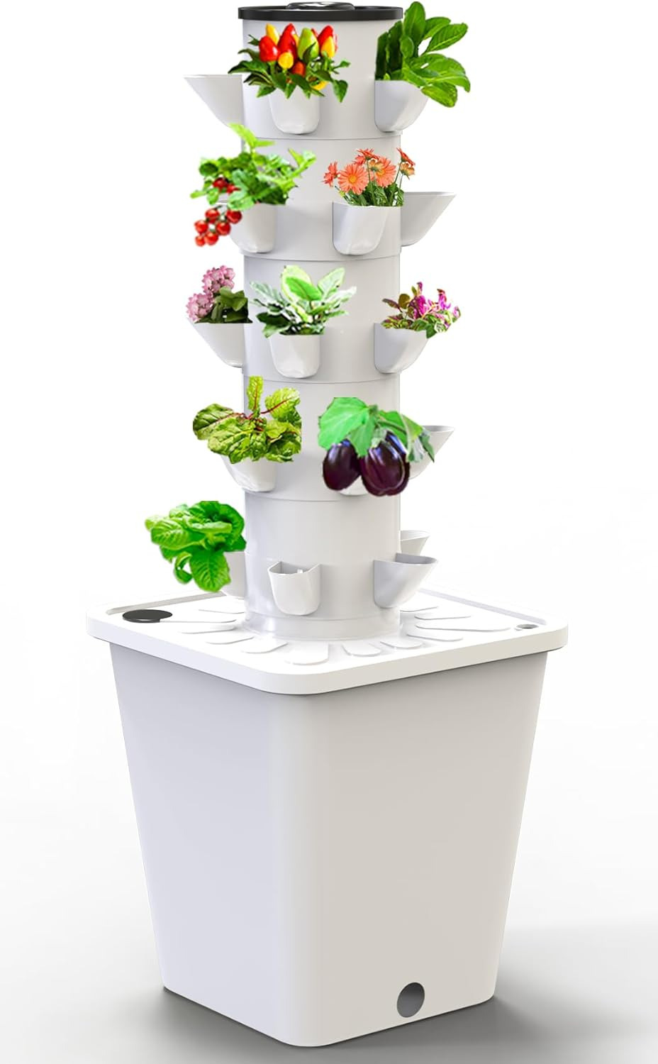 Sjzx Hydroponic Growing System(No Seedlings Included) | 25-Plant Hydroponic Syst