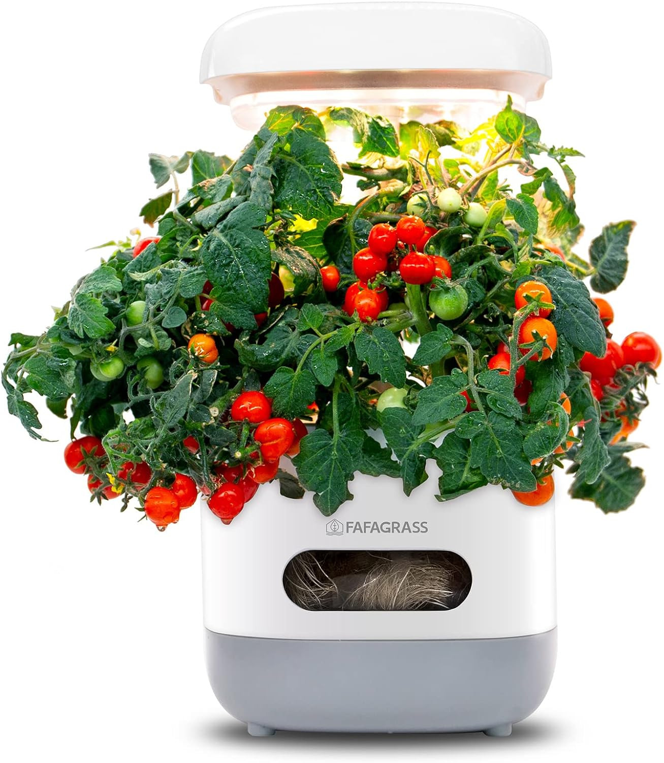 Mini Herb & Vegetable Hydroponics System: Countertop Grower with Adjustable Pump