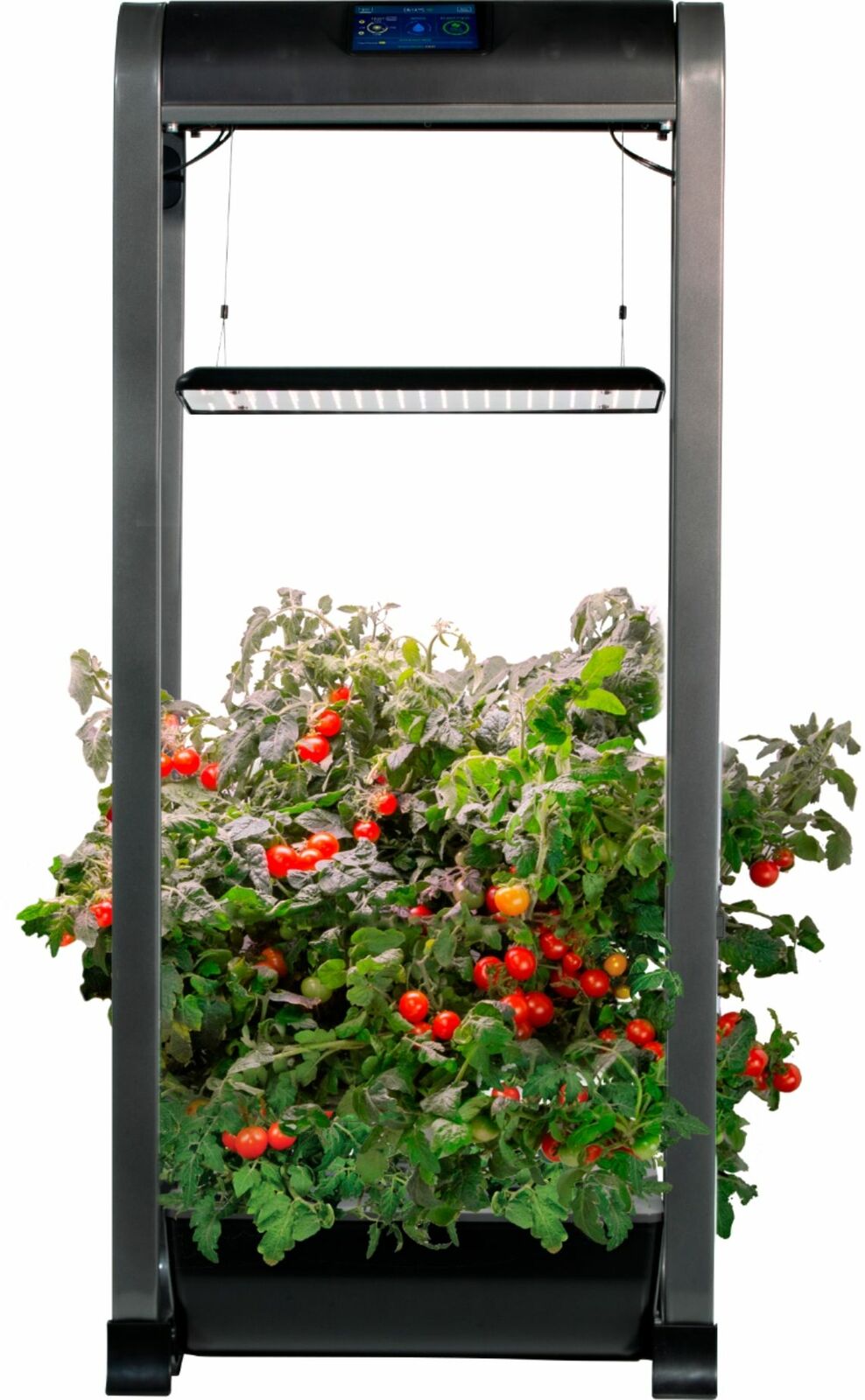 AeroGarden - Farm 12XL with Salad Bar Seed Pod Kit - Hydroponic Indoor Garden...