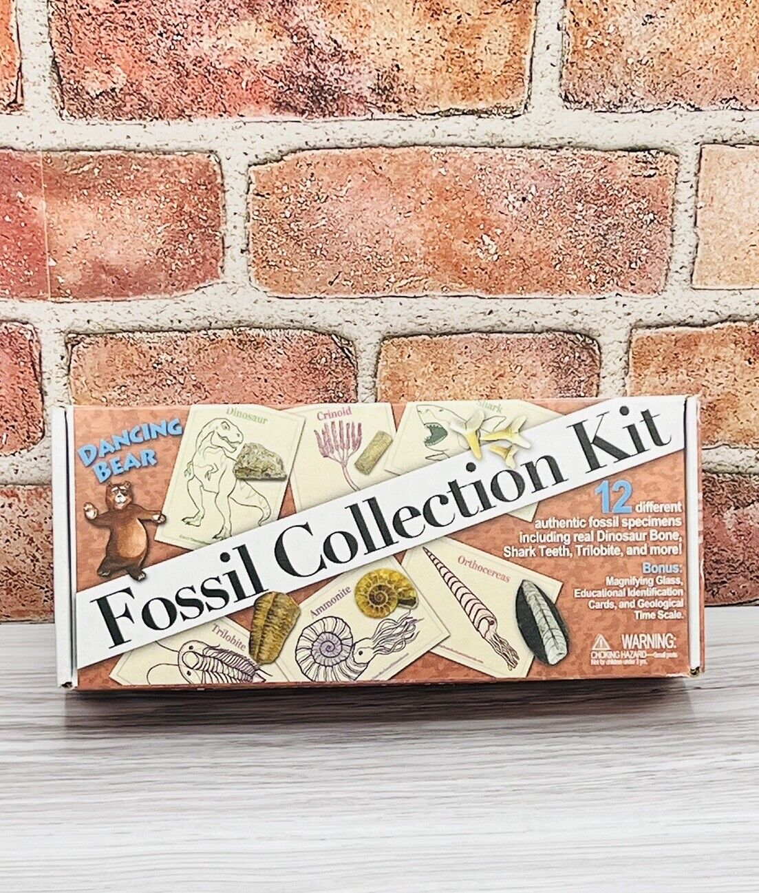Fossil Collection Kit Authentic Dinosaur Bone Shark Tooth Dancing Bear Learning
