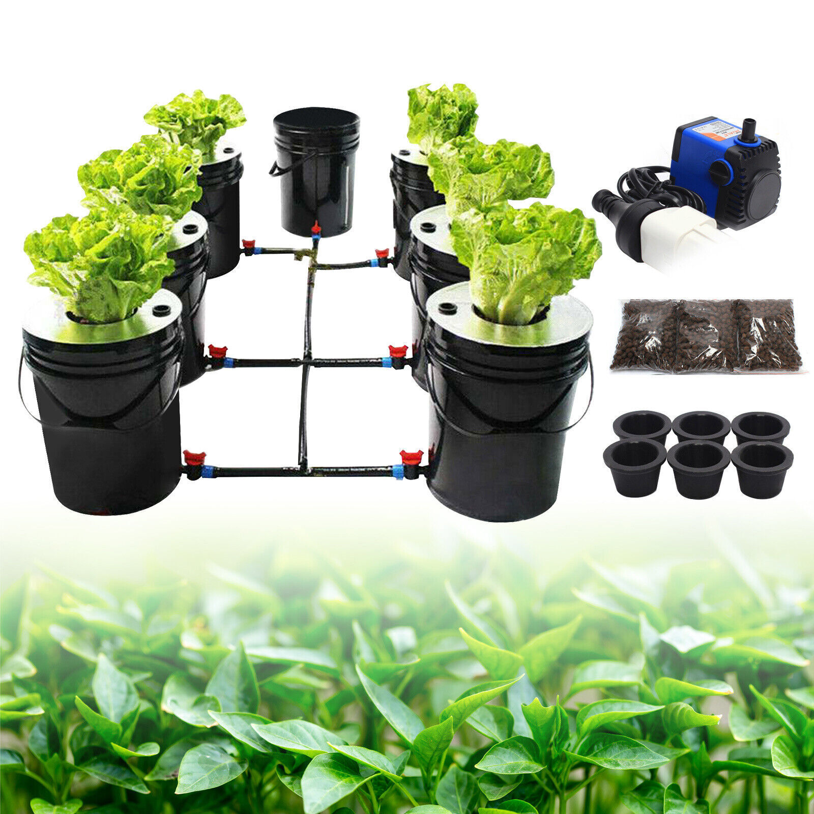 DWC 5 Gallons 6 Buckets Hydroponics Growing System Recirculating Growing Kit US