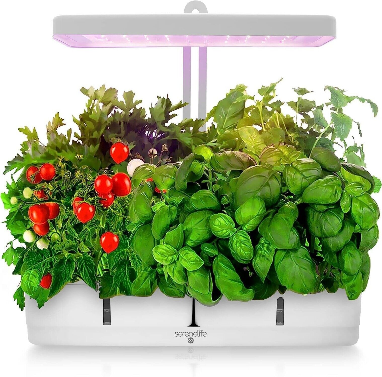 Hydroponic Herb Garden 8 Pods, Indoor Herb Garden Kit, Seed Pod, Indoor Garden