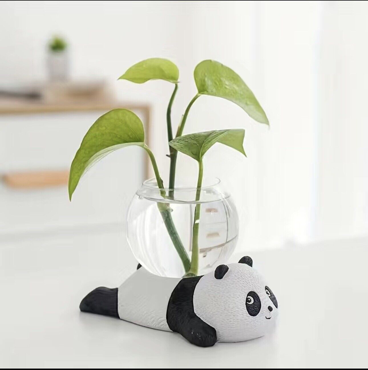 hydroponic Panda Vase