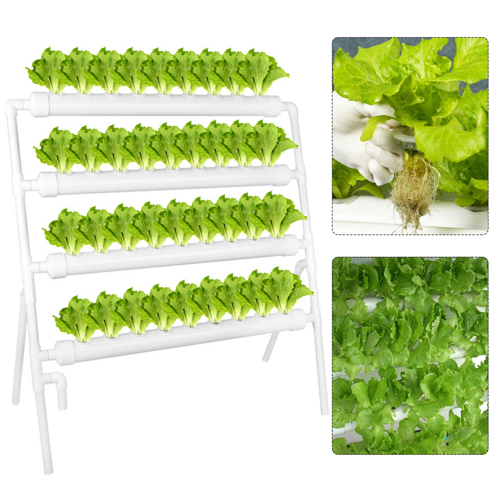 Hydroponic 36 Sites Grow Kit Plant Growing System for Leafy Vegetables 4 Layers
