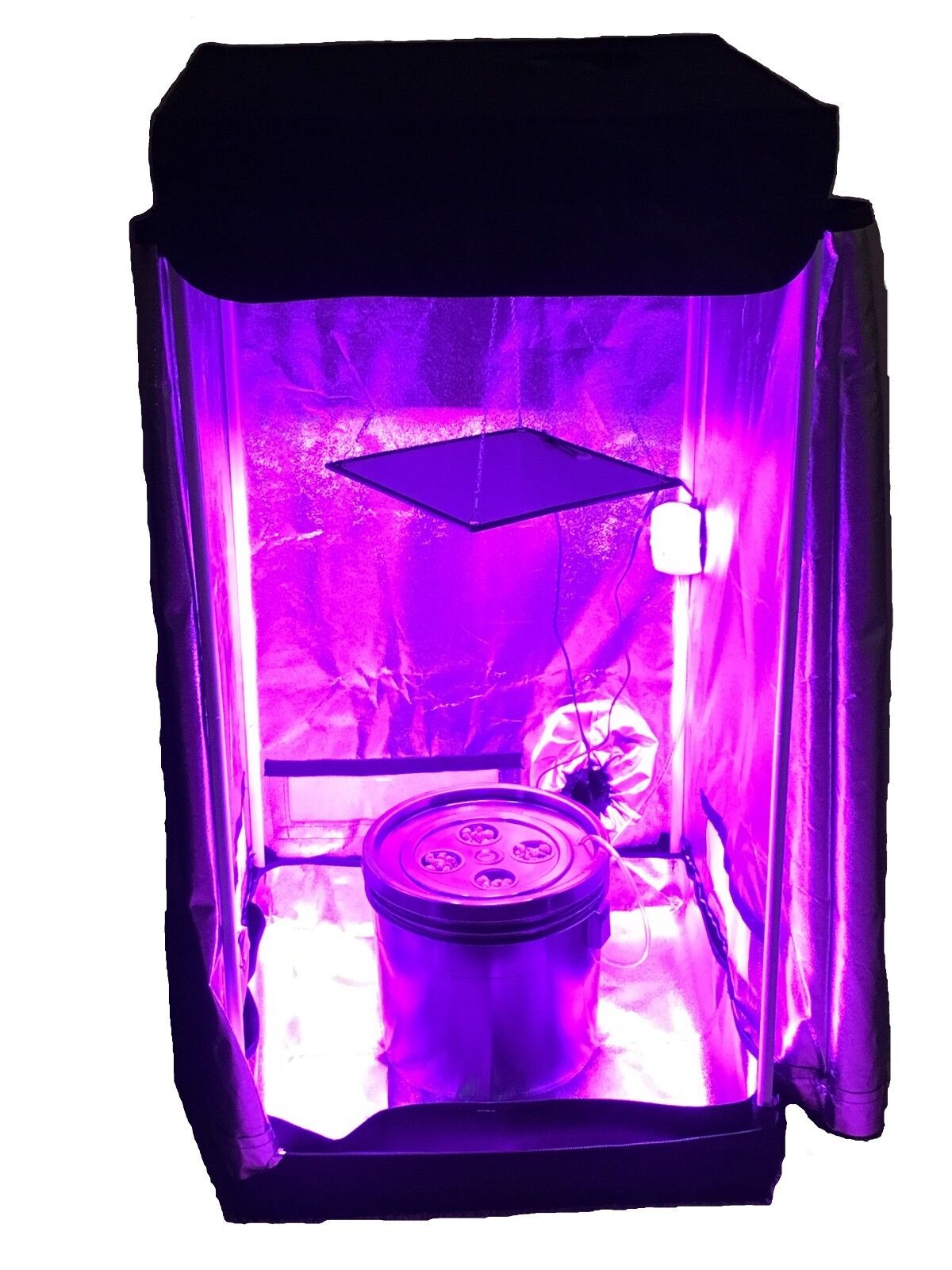 4 Site Hydroponic System Grow Room - Complete Grow Tent Kit DWC - LED Grow Light