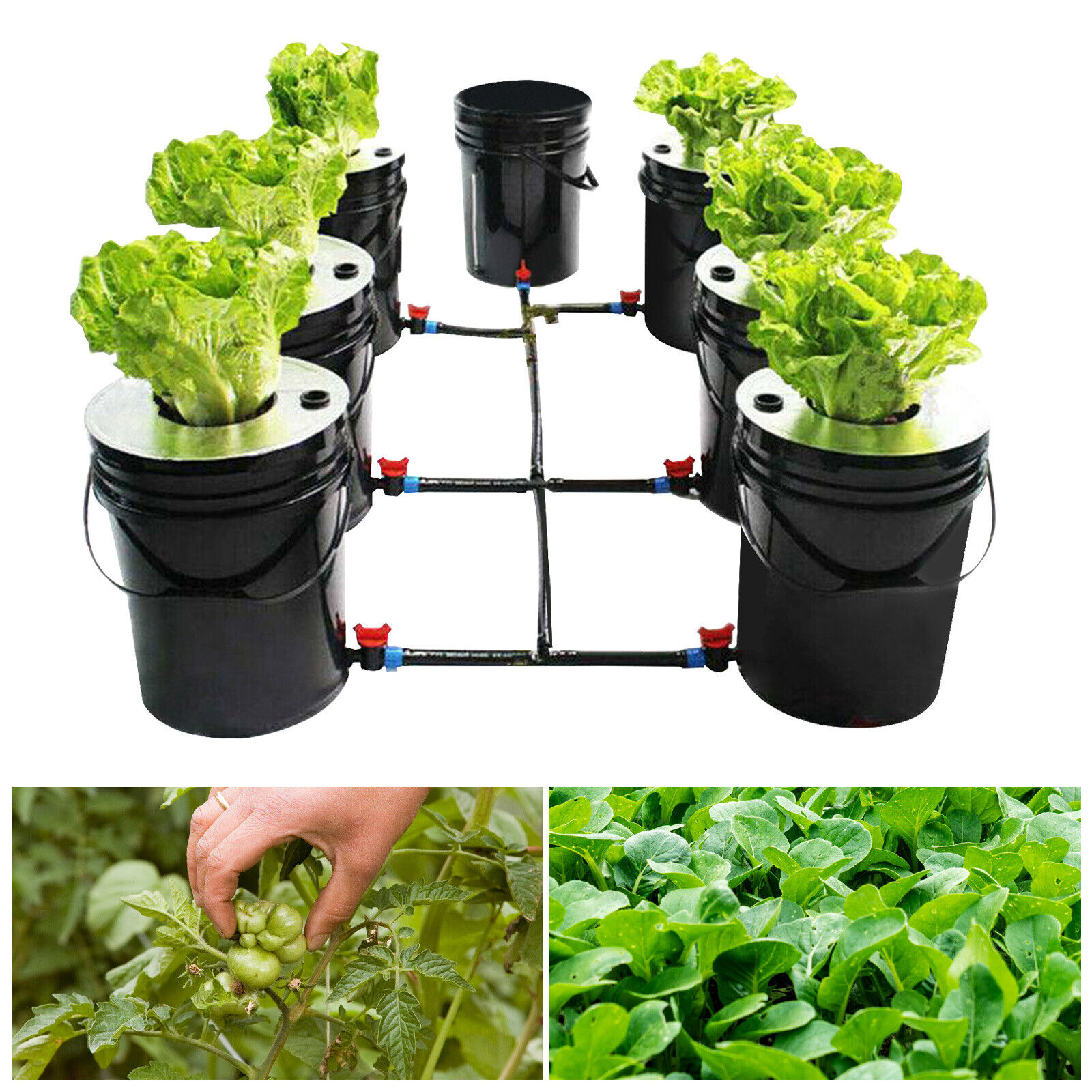 (1+6) x 5 Gal. Bucket DWC Hydroponic Soilless Cultivation for Indoor&Outdoor
