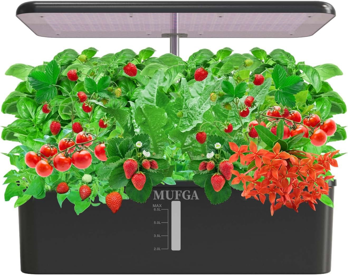 Hydroponics Growing System Herb Garden -  18 Pods Indoor Gardening System with L