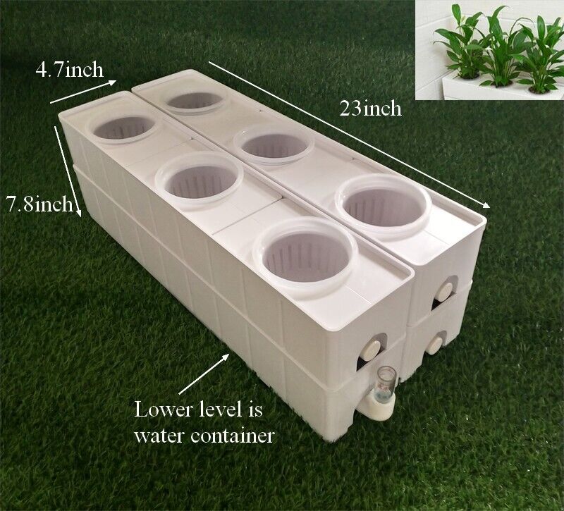 TECHTONGDA Hydroponic 6 Plant Site Grow Kit Grow System Simple Operation