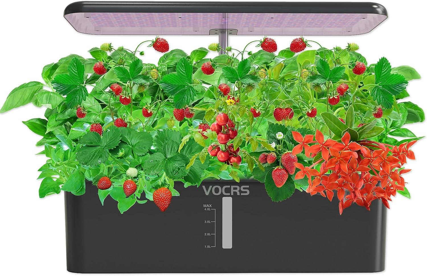 Hydroponics Growing System Indoor Garden -  12 Pods Herb Garden Kit Indoor with 