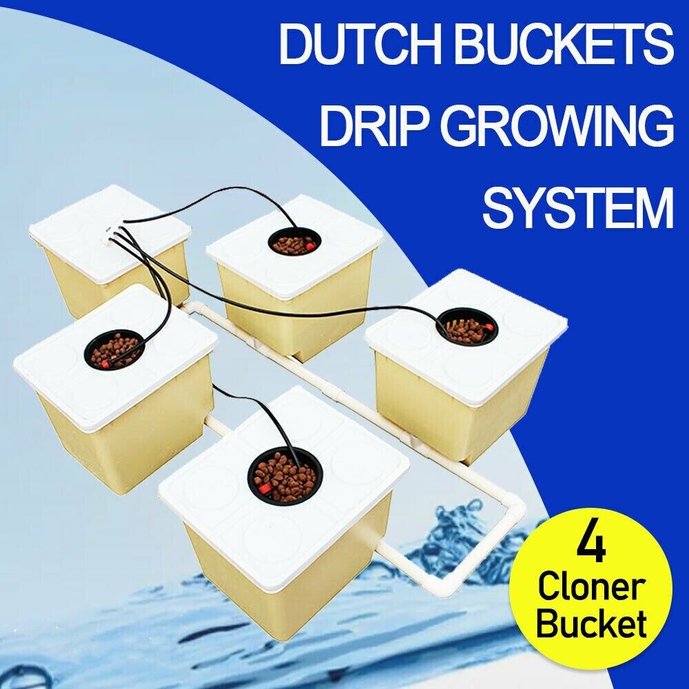 Hydroponics Drip Growing System 4 Sites Dutch Buckets DWC System Aquaponics