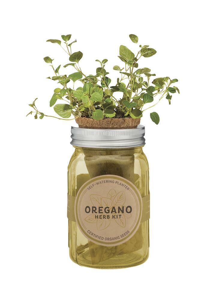 Modern Sprout Garden Jar - Oregano - Grow with Self Watering Indoor Garden Kit