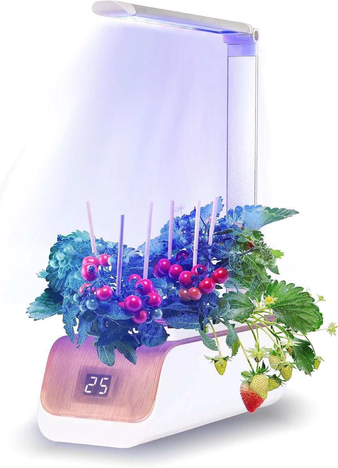 Hydroponics Growing System, Indoor Herb Garden with Grow Light Smart Garden