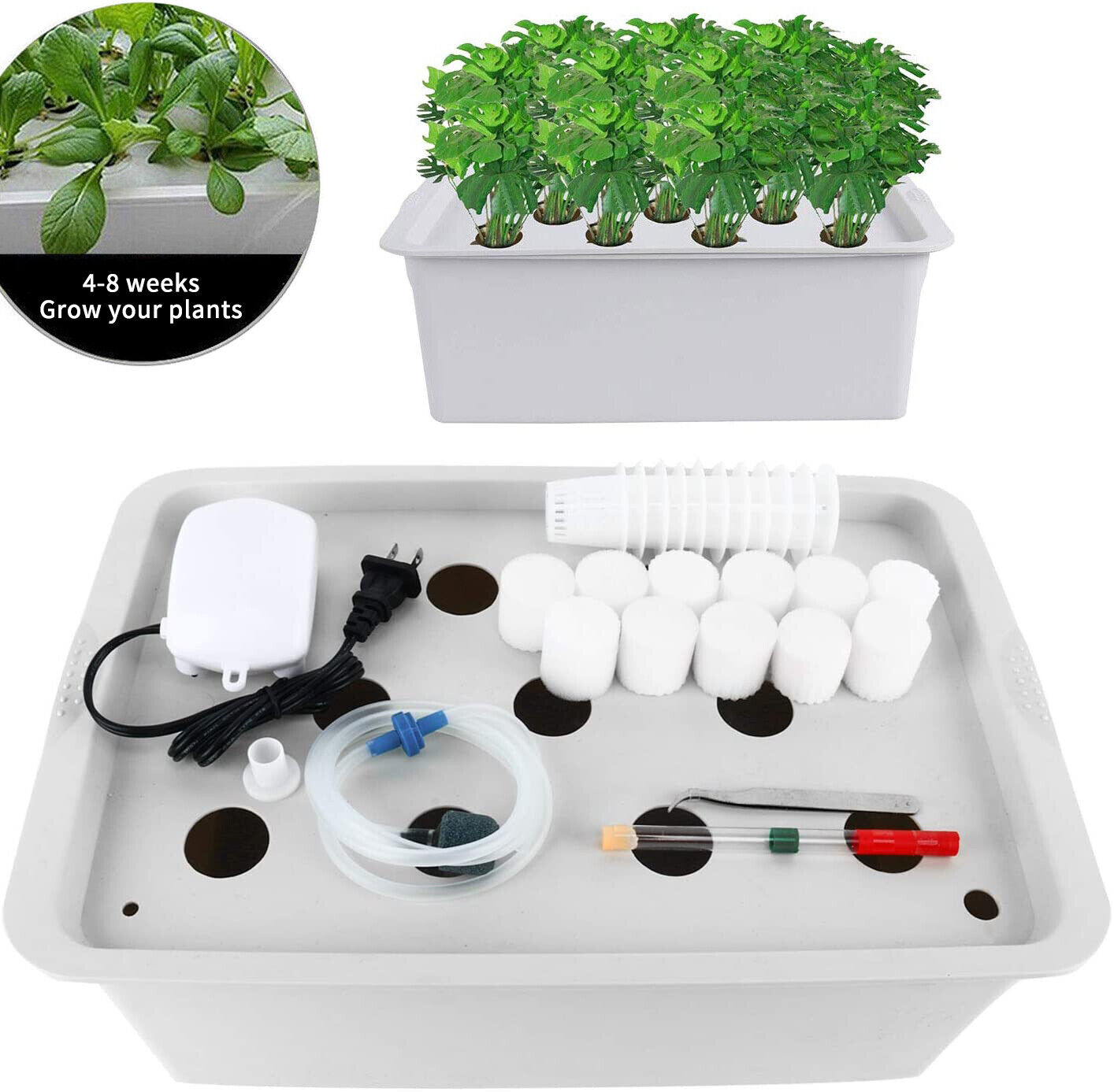 11 Holes Hydroponic Grow Kit Plant Site Best Indoor Herb Garden Home Cabinet Box
