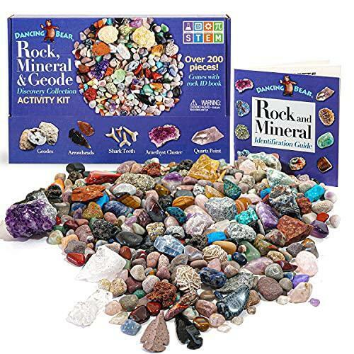 Dancing Bear Rock & Mineral Collection Activity Kit (200+Pcs) with Geodes, Shark