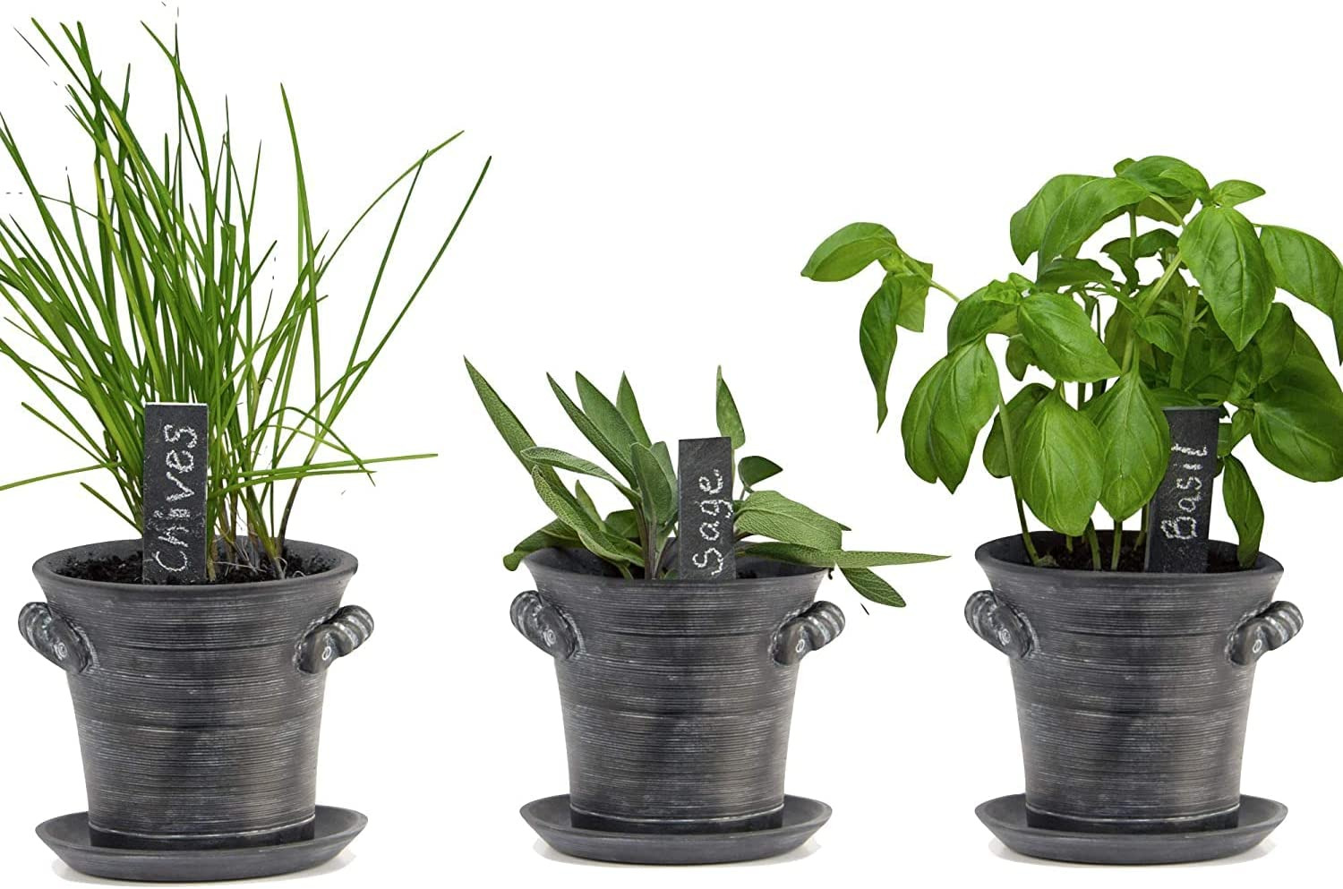 Herb Growing Kit - Grow an Indoor Garden, Herb Kitchen Windowsill - Non GMO Seed