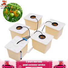 Hydroponic Deep Water Culture (DWC) & Buckets Drip Ring Grow System Kit Pp & Uv picture