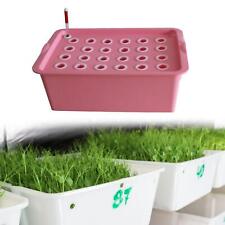 Indoor Hydroponic Grow Set Nursery Pots 24 Sites for Parterre Market Lettuce picture