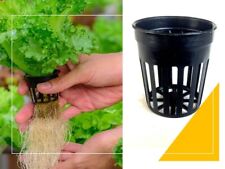 50 pc x NET CUP POTS HYDROPONIC SYSTEM GROW KIT 2 Inch picture