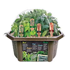 Culinary Herb Collection - Indoor Micro-Gardening Kit picture