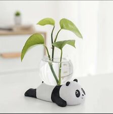 hydroponic Panda Vase picture