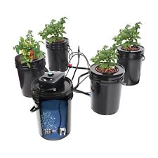 RDWC Top Feed Drip Hydroponics Systems, Recirculating Deep Water Culture Hydr... picture