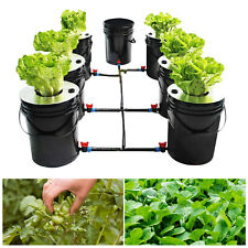 DWC Hydroponic Vegetable Growth System (1+6) x 5 Gal. Bucket for Indoor&Outdoor picture