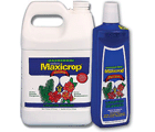 Maxicrop Liquid Seaweed Plus Iron Gallon