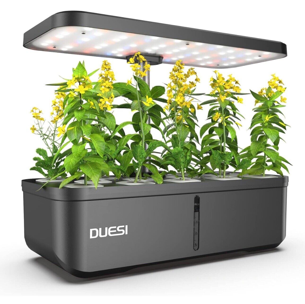 Duesi Hydroponics Growing System Indoor Garden Kit 12Pods Indoor Herb Garden
