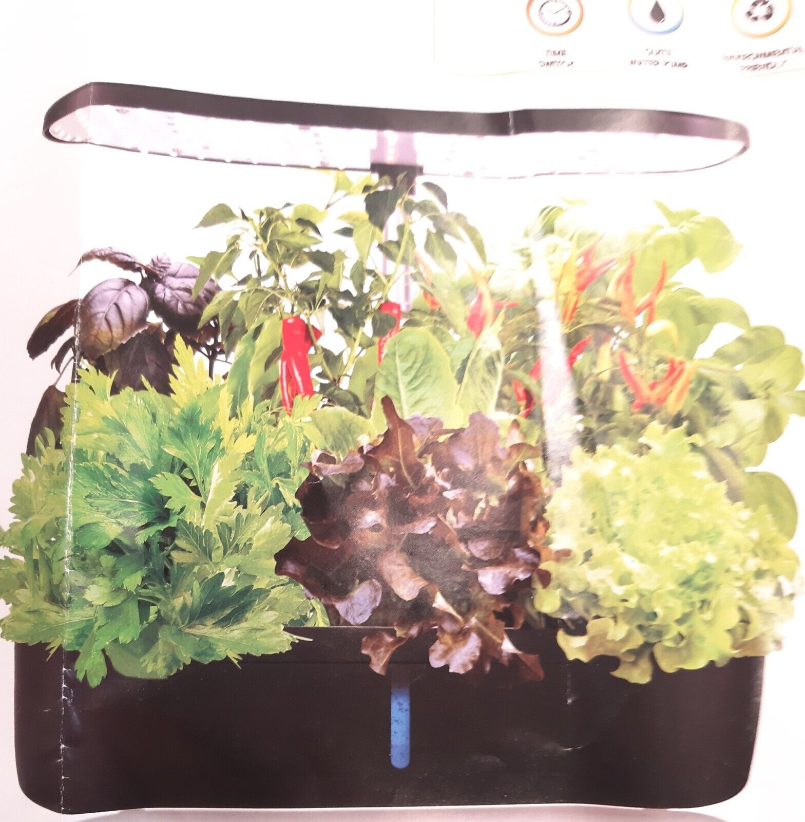 (Black)Indoor Garden Hydroponics Growing System 12 Pods Automatic Water