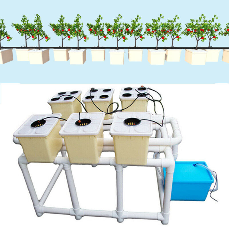 15 Sites Deep Water Culture Hydroponic System Grow Kit W/Submerged Pump US STOCK
