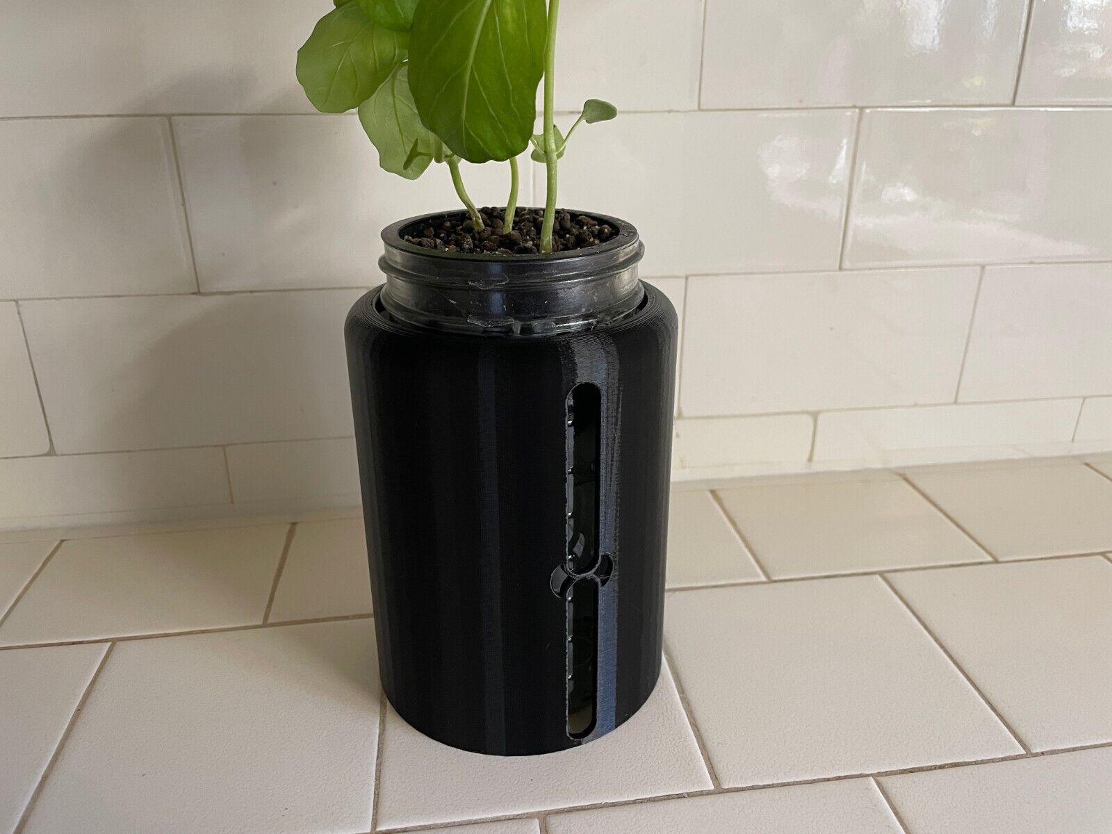 Kratky Jar Sleeve—Indoor Mason Jar Hydroponics