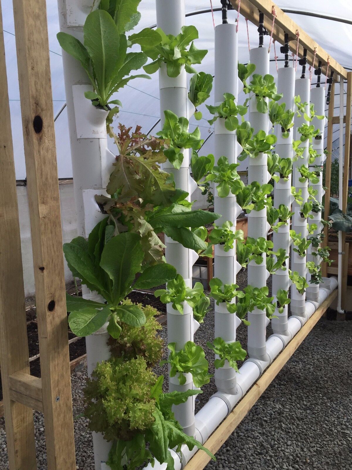 GroPockets Vertical Garden - Aquaponics, Hydroponics, Soil