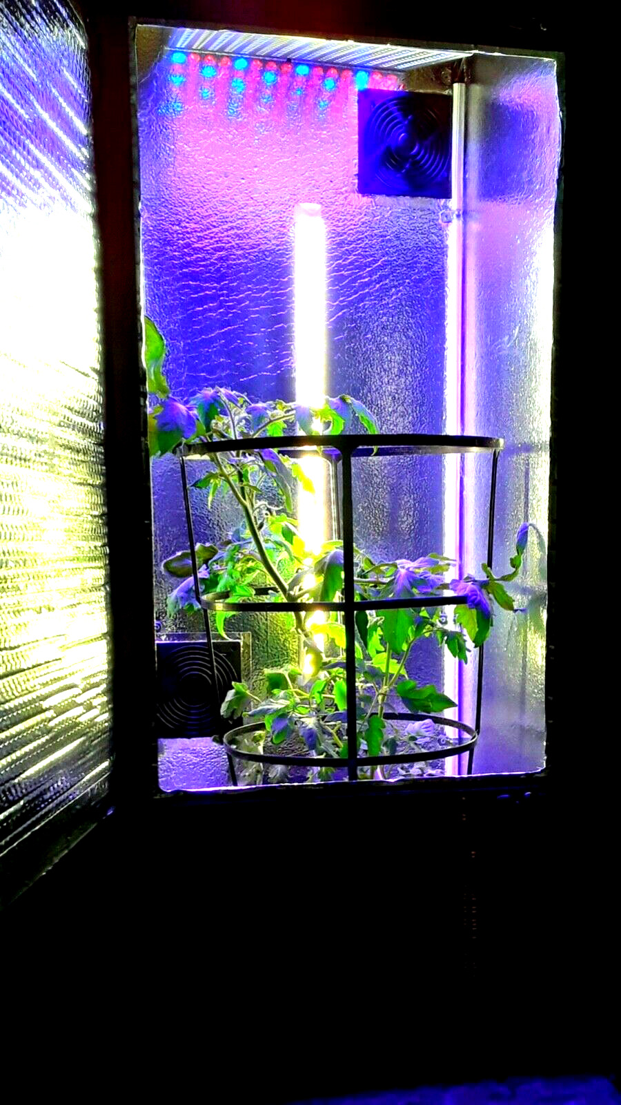 4FT LED CaliFlowerBox Grow Box Cabinet Hydroponic or Soil