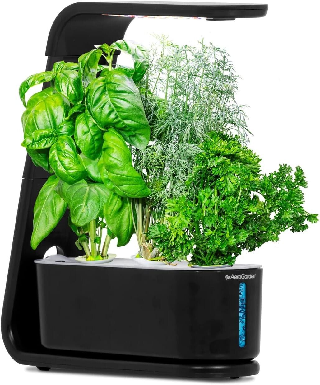 AeroGarden Sprout with Gourmet Herbs Seed Pod Kit - Hydroponic Indoor Garden