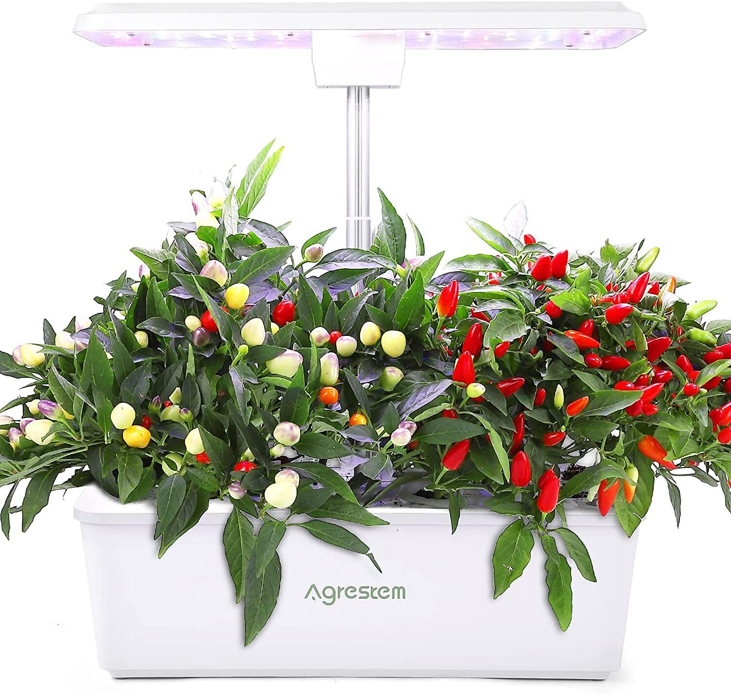 12 Pods Hydroponics Growing System Indoor Herb LED Light Garden Starter Timer
