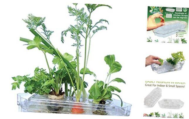 Indoor Gardening System/Small/No Electricity Needed/All Year Round/Hydroponic 