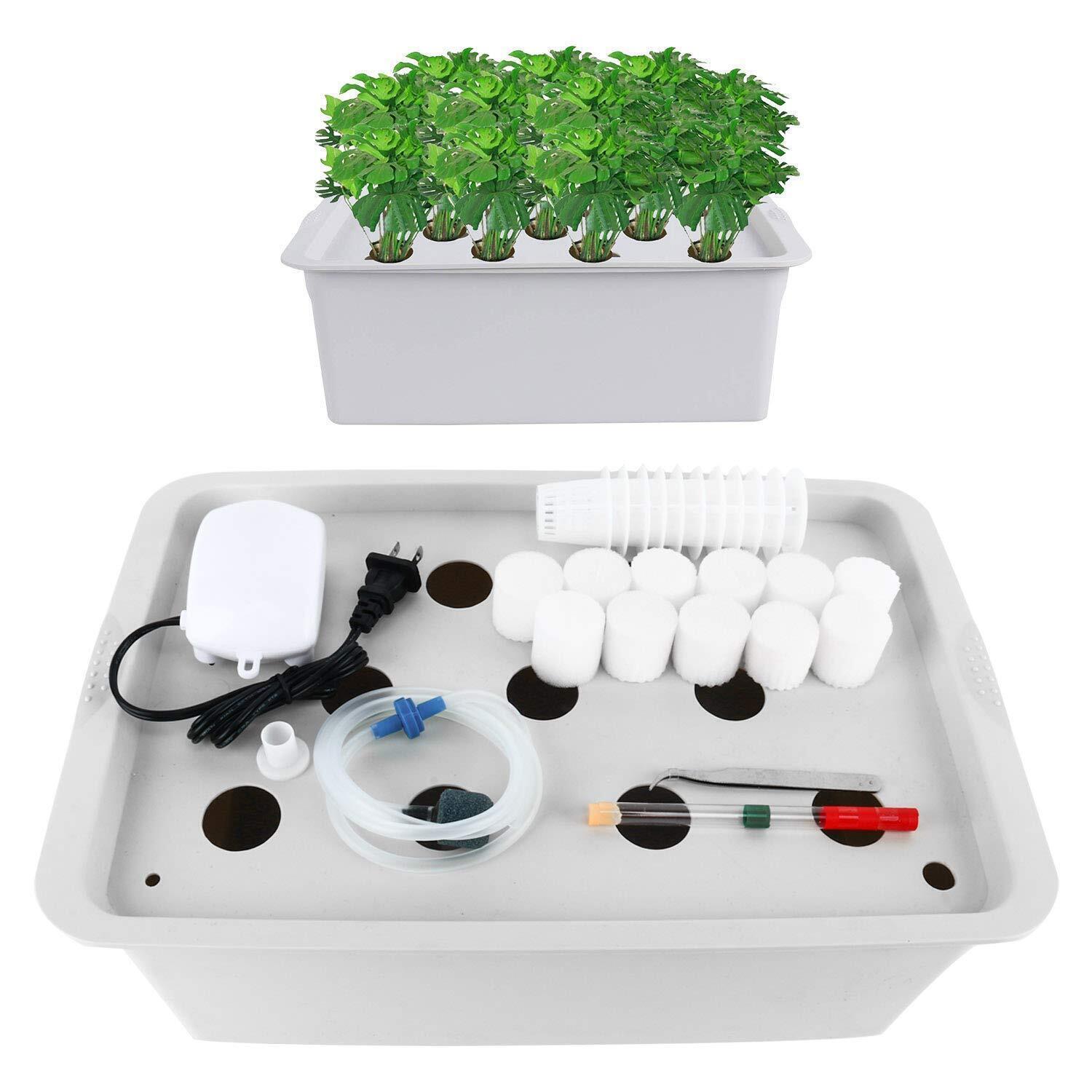 Homend 11 Sites Indoor Hydroponic Grow Kit with Bubble Stone for Herb Garden