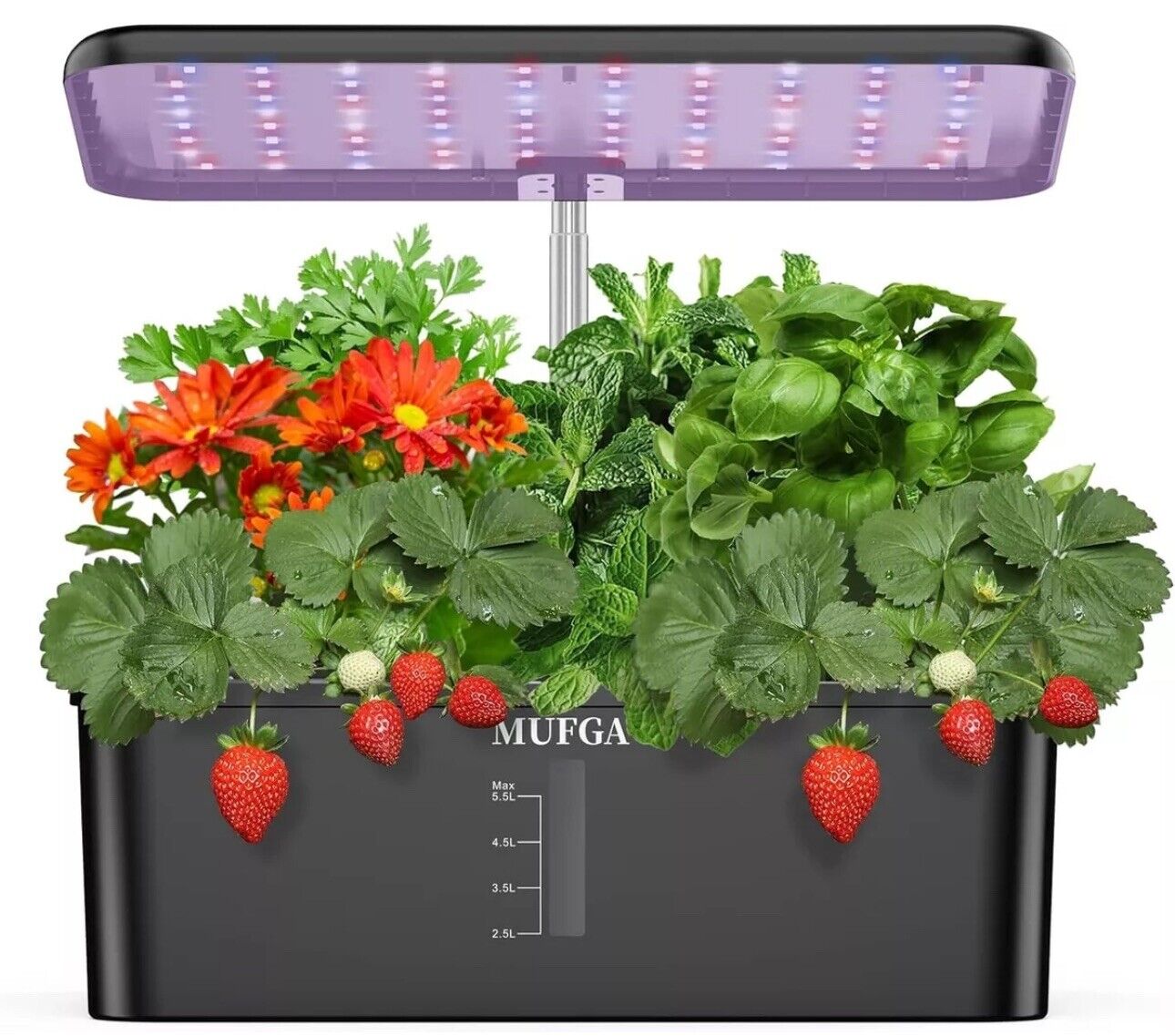 Herb Garden Hydroponics Growing System - MUFGA 12 Pods Indoor Gardening System