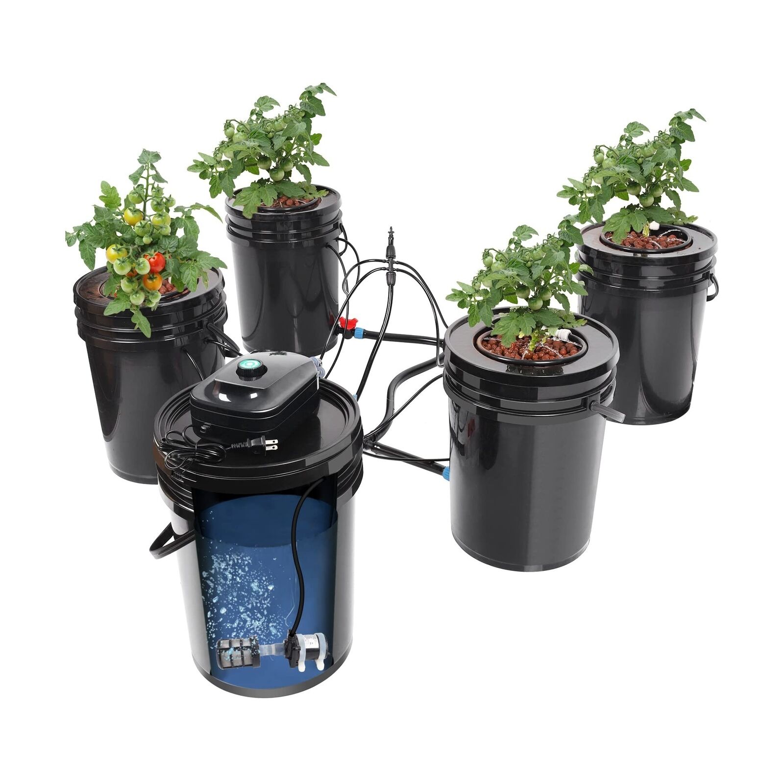 RDWC Top Feed Drip Hydroponics Systems, Recirculating Deep Water Culture Hydr...