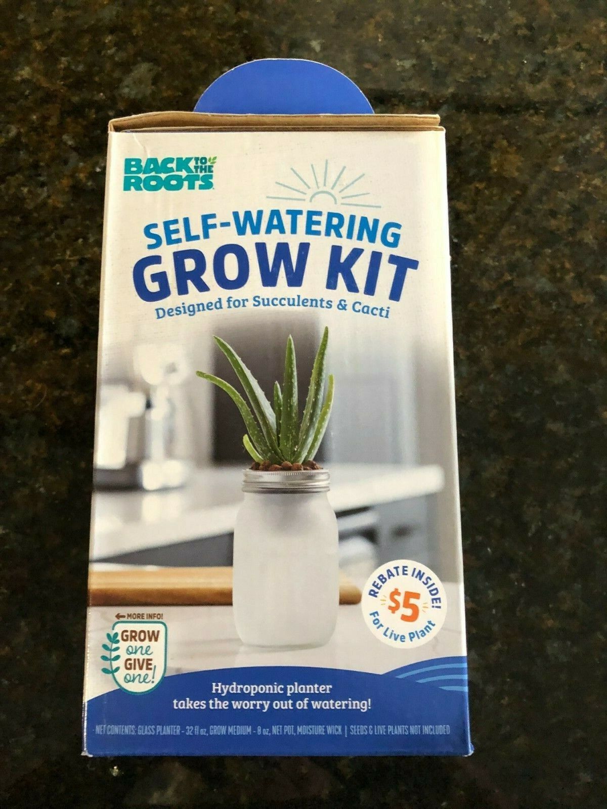 Self-Watering Grow Kit Hydroponic Planter System Succulents and Cacti