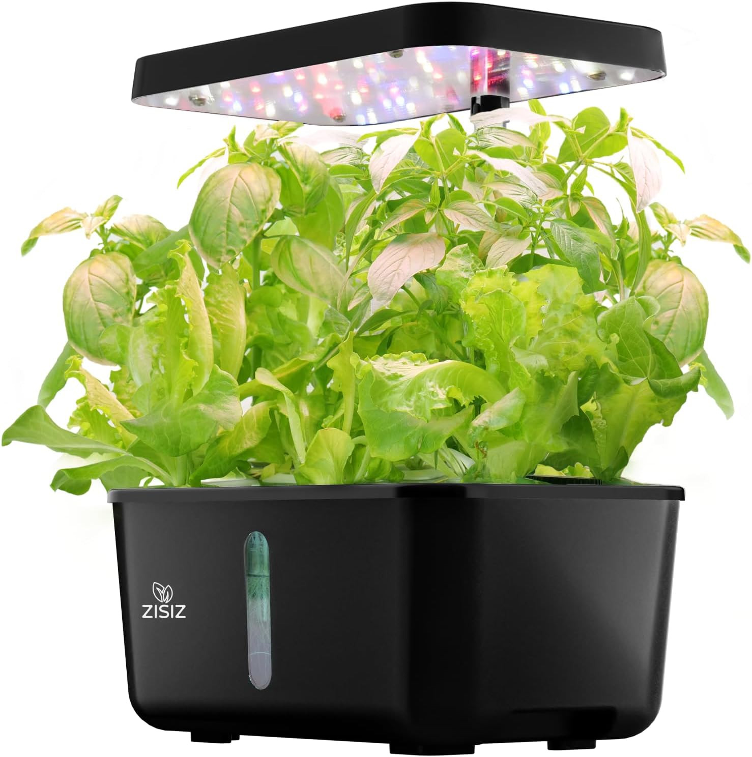 Hydroponics Growing System：8Pods Herb Garden Planter Indoor Kit with Automatic T