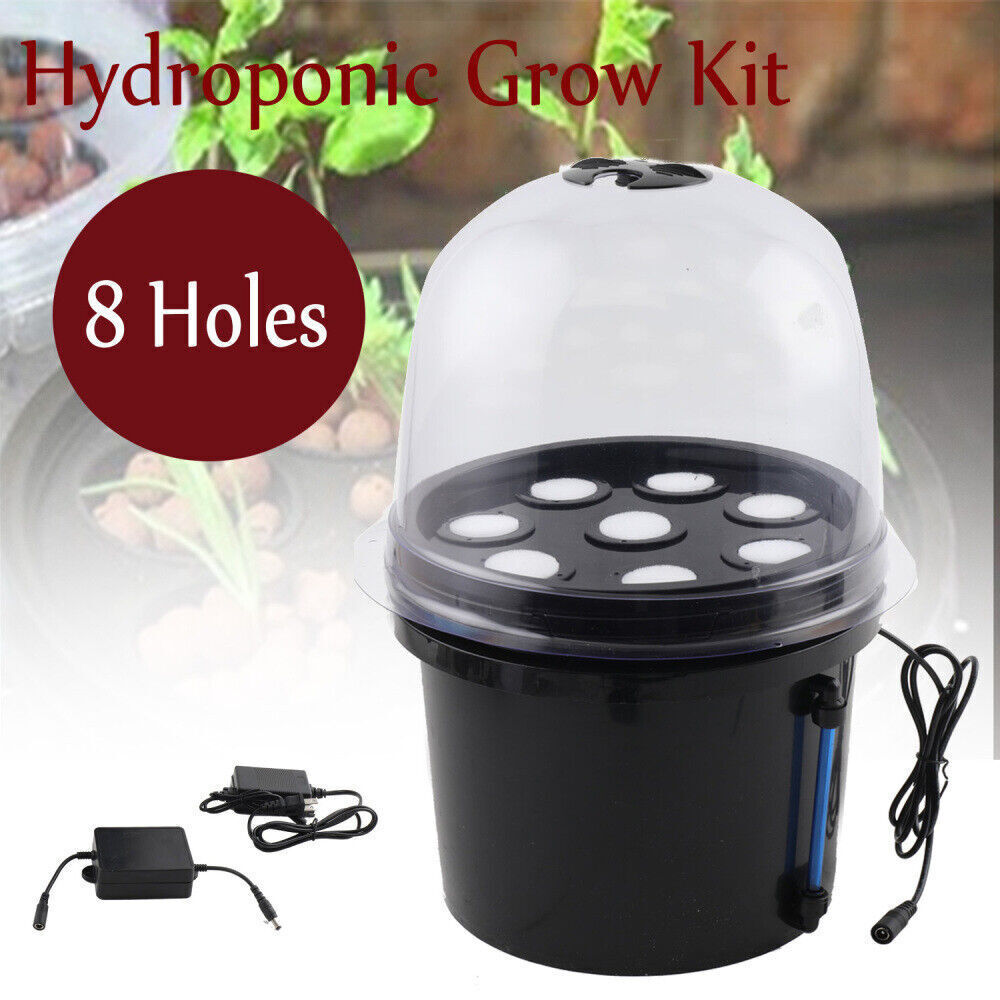 8 Sites Hydroponic System Plants Grow Kit for Indoor/Outdoor Leafy Vegetables