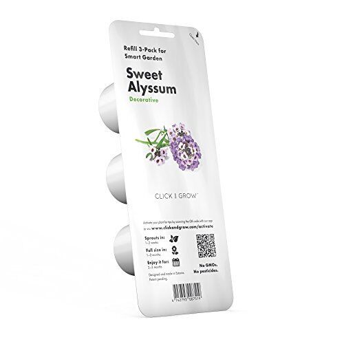 Smart Garden Sweet Alyssum Plant Pods 3pack
