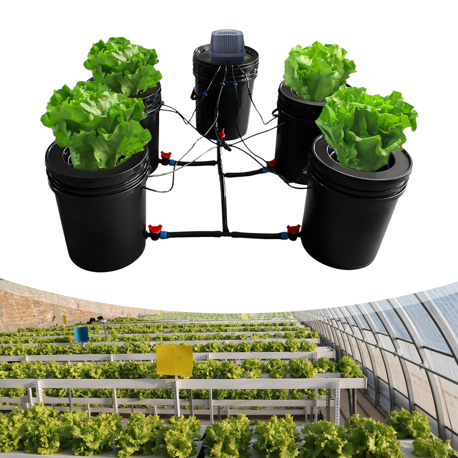 5x Planting Buckets Hydroponics Grow System Recirculating Deep Water Culture Kit